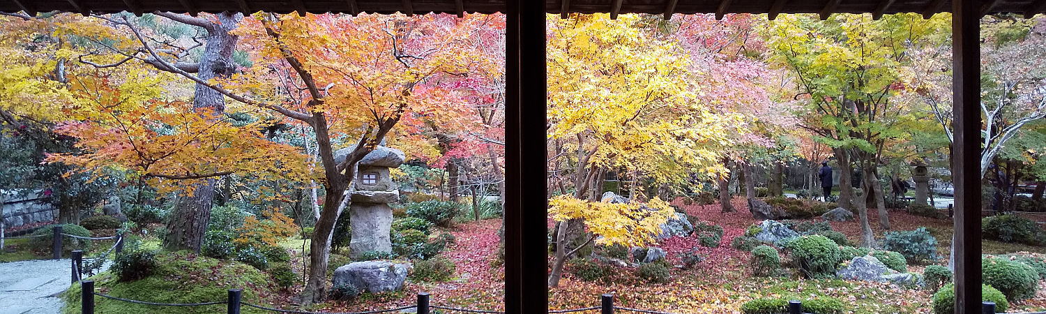 京都 観光 旅行